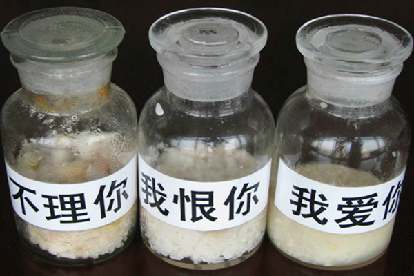 米饭实验 米饭实验